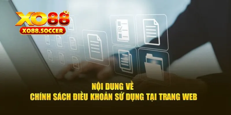 điều khoản điều kiện