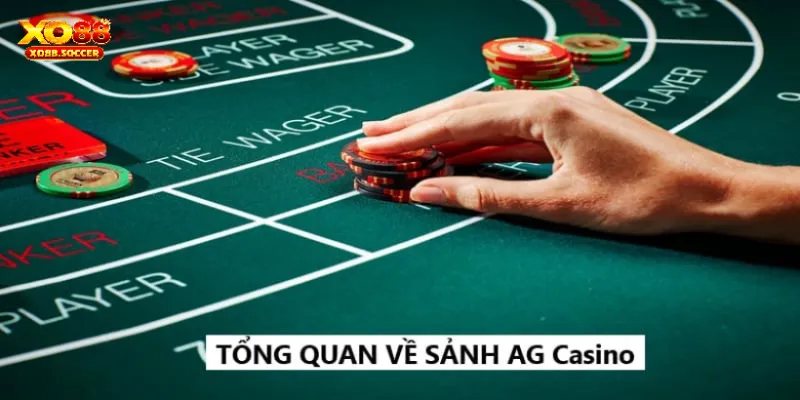 Giới thiệu đôi nét về AG Casino 